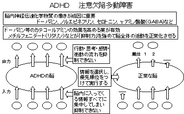 注意 欠陥 多 動 性 障害