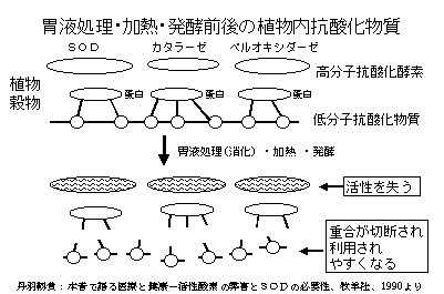 ݉tEMEyO̐AR_