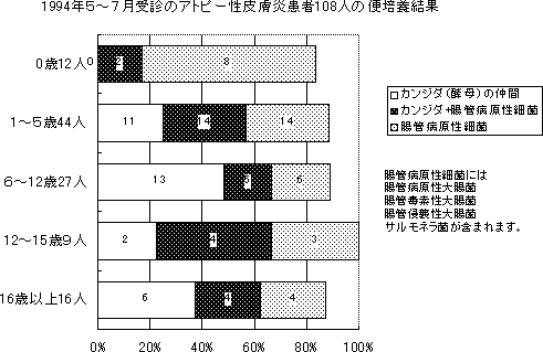 1994NT`Vf̃Ags[畆҂֔̕|{